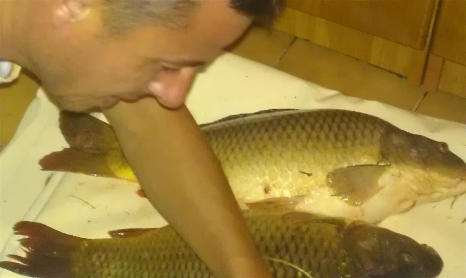 pescut la crap - imag0073.jpg